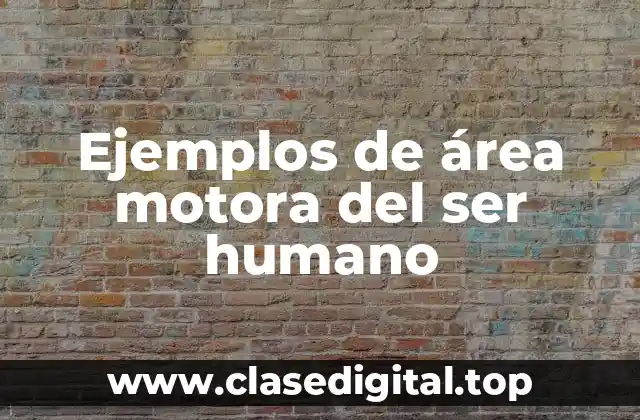 Ejemplos de área motora del ser humano