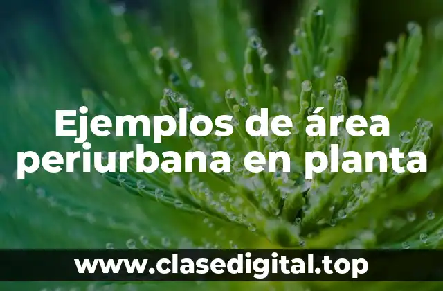 Ejemplos de área periurbana en planta