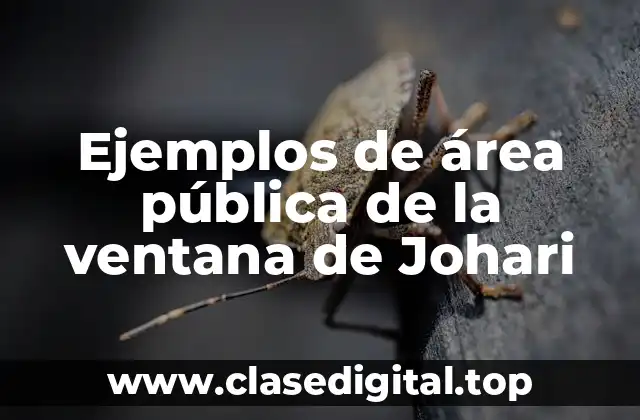 Ejemplos de área pública de la ventana de Johari