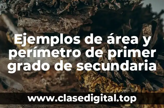 Ejemplos de área y perímetro de primer grado de secundaria