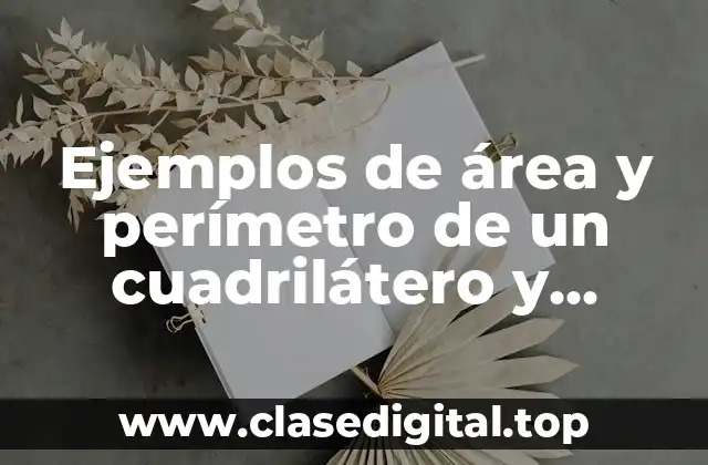Ejemplos de área y perímetro de un cuadrilátero