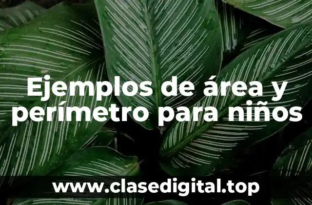 Ejemplos de área y perímetro para niños