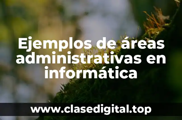 Ejemplos de áreas administrativas en informática