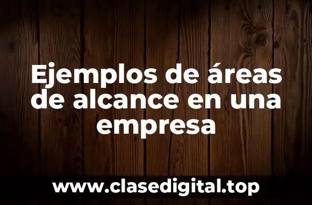Ejemplos de áreas de alcance en una empresa