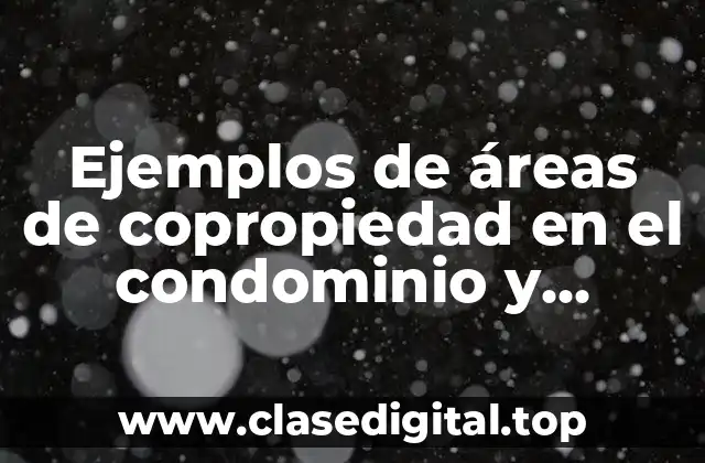 Ejemplos de áreas de copropiedad en el condominio y Significado