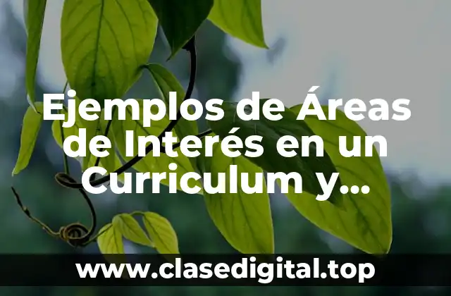 Ejemplos de Áreas de Interés en un Curriculum y Significado