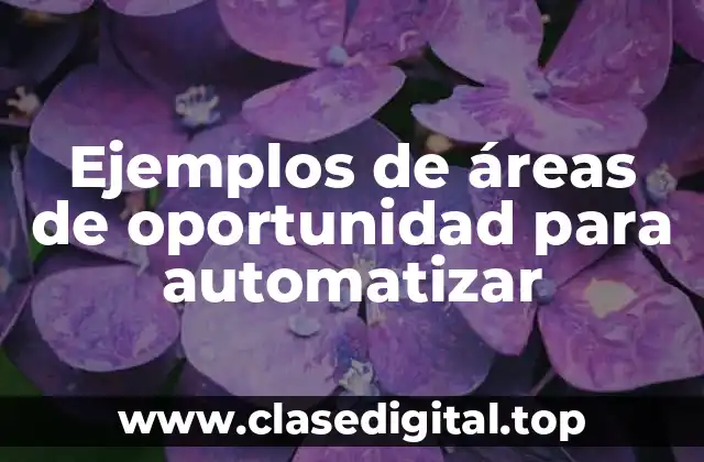 Ejemplos de áreas de oportunidad para automatizar