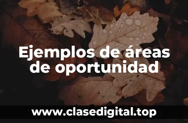 Ejemplos de áreas de oportunidad