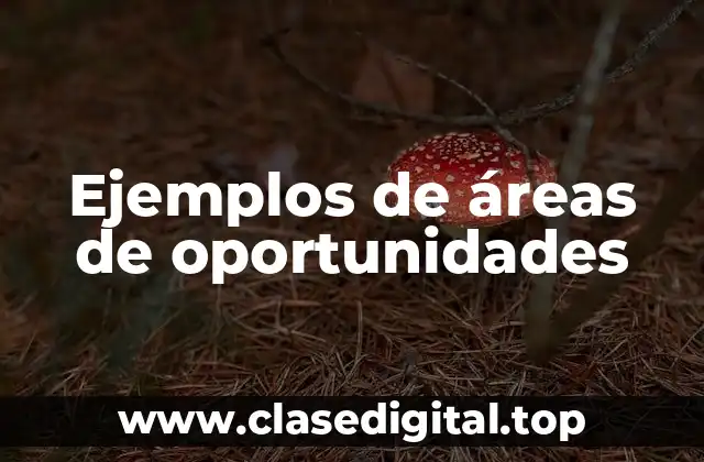 Ejemplos de áreas de oportunidades