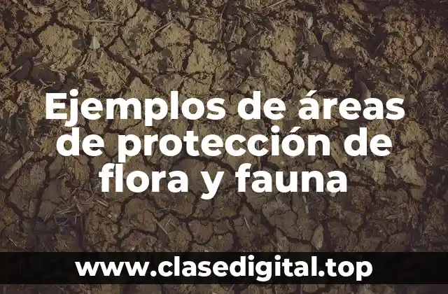 Ejemplos de áreas de protección de flora y fauna