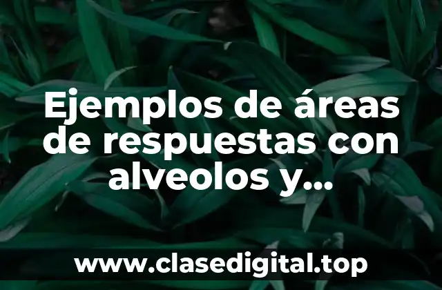 Ejemplos de áreas de respuestas con alveolos
