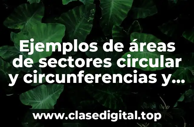Ejemplos de áreas de sectores circular y circunferencias y Significado