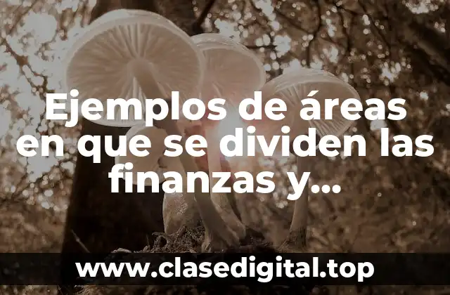 Ejemplos de áreas en que se dividen las finanzas y Significado
