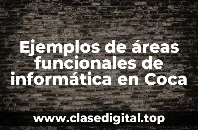 Ejemplos de áreas funcionales de informática en Coca