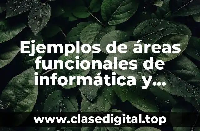 Ejemplos de áreas funcionales de informática y Significado