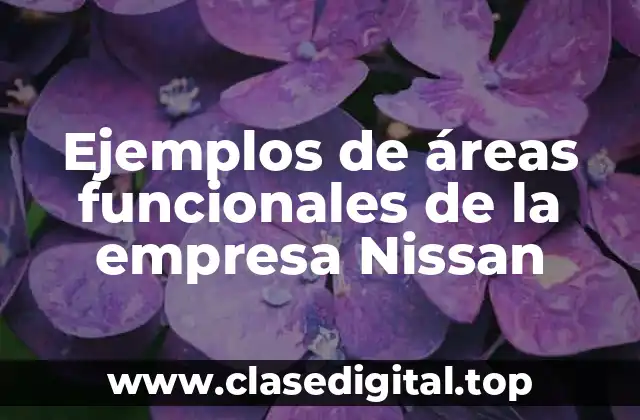 Ejemplos de áreas funcionales de la empresa Nissan