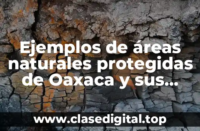 Ejemplos de áreas naturales protegidas de Oaxaca