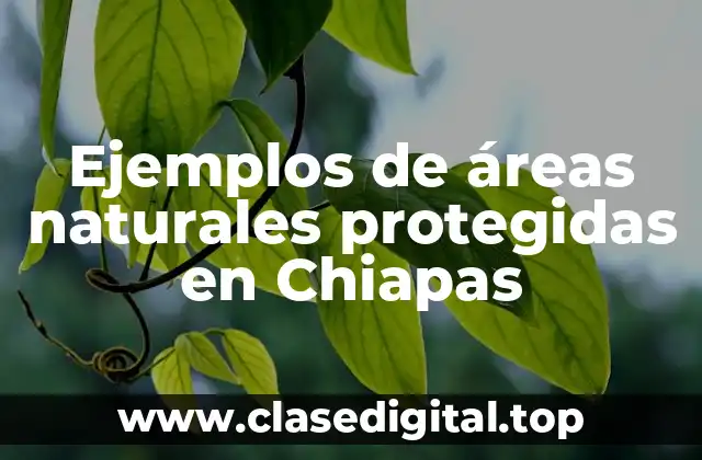 Ejemplos de áreas naturales protegidas en Chiapas