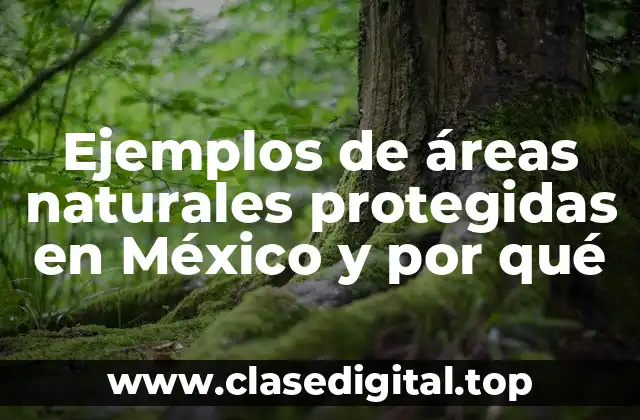 Ejemplos de áreas naturales protegidas en México y por qué