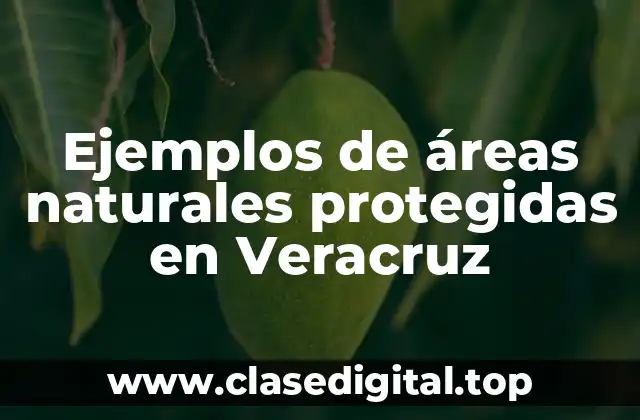 Ejemplos de áreas naturales protegidas en Veracruz