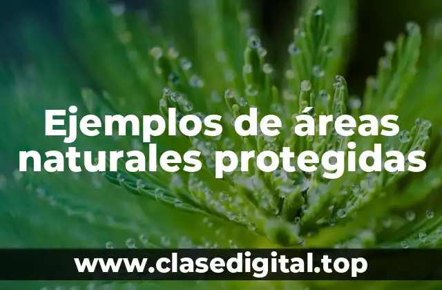 Ejemplos de áreas naturales protegidas