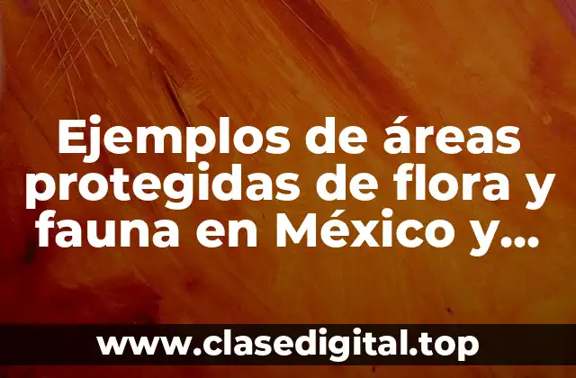 Ejemplos de áreas protegidas de flora y fauna en México y Significado