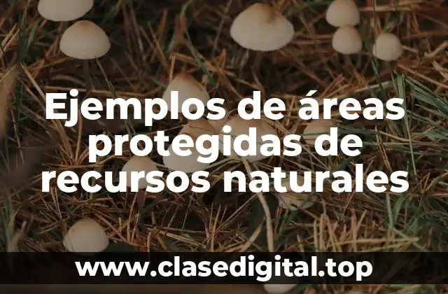 Ejemplos de áreas protegidas de recursos naturales