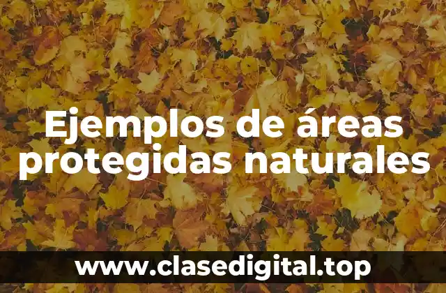 Ejemplos de áreas protegidas naturales