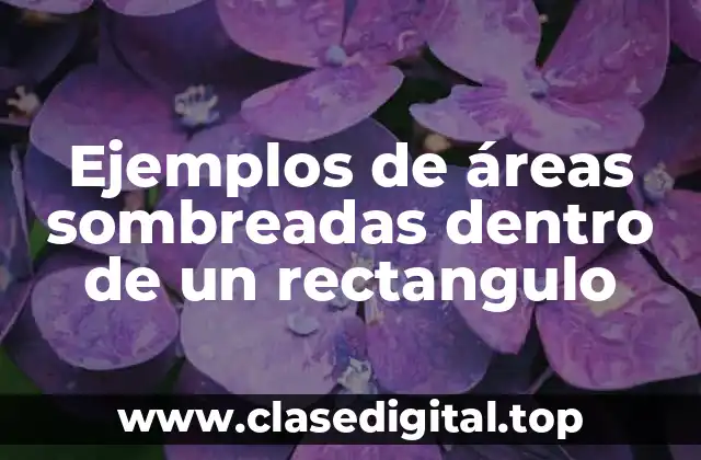 Ejemplos de áreas sombreadas dentro de un rectangulo