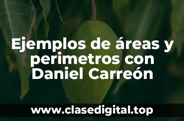 Ejemplos de áreas y perimetros con Daniel Carreón