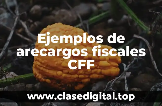 Ejemplos de arecargos fiscales CFF