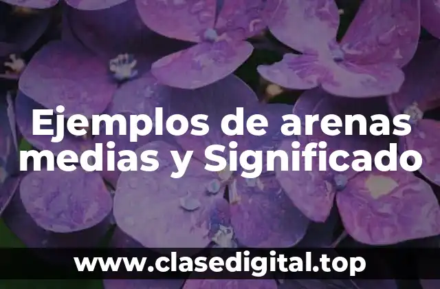 Ejemplos de arenas medias y Significado