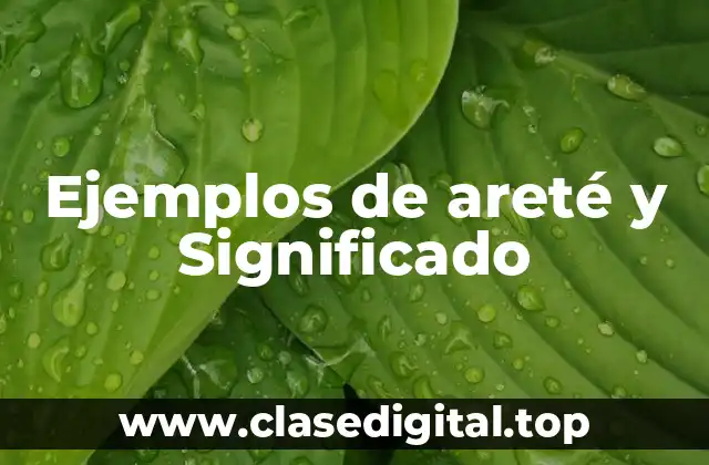 Ejemplos de areté y Significado