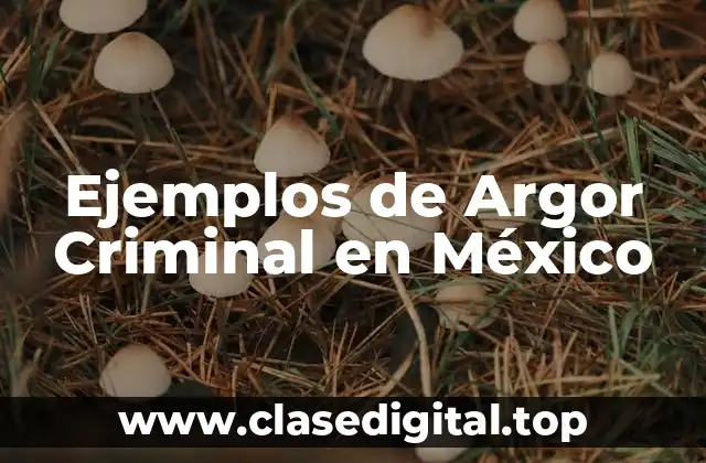 Ejemplos de Argor Criminal en México