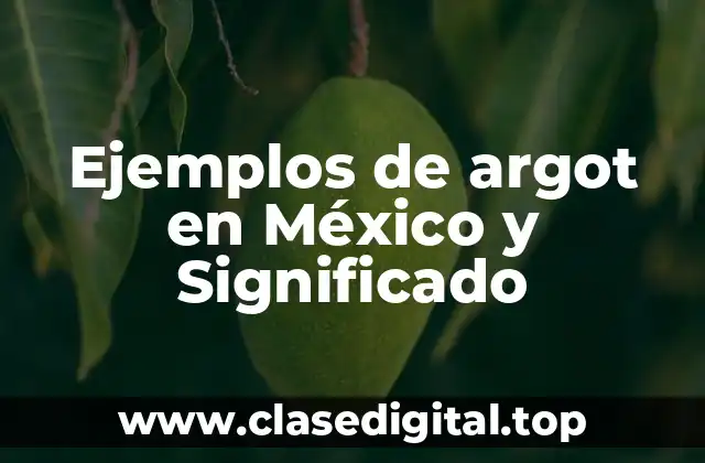 Ejemplos de argot en México y Significado
