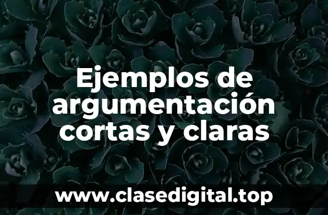 Ejemplos de argumentación cortas y claras