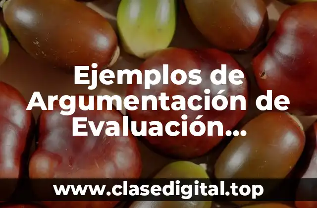 Ejemplos de Argumentación de Evaluación Cualitativa
