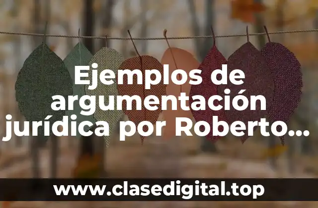 Ejemplos de argumentación jurídica por Roberto y Significado