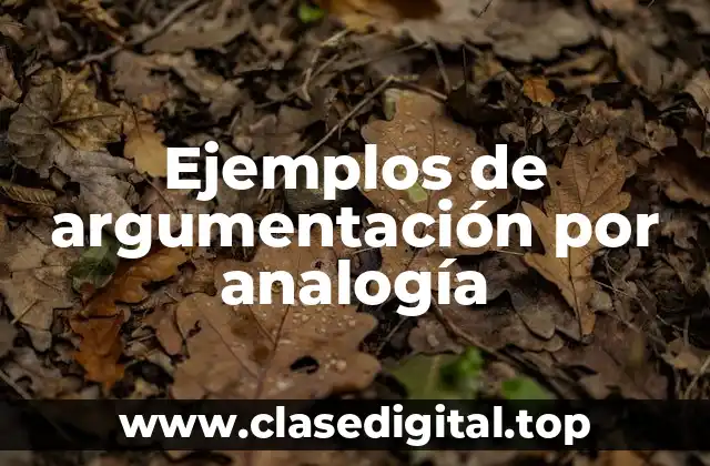 Ejemplos de argumentación por analogía