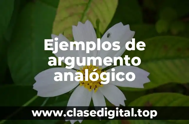Ejemplos de argumento analógico
