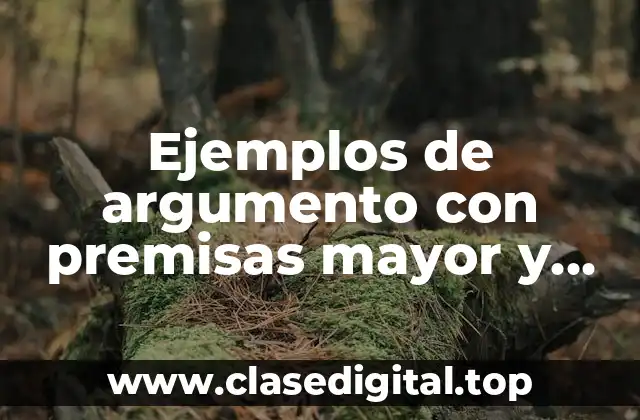 Ejemplos de argumento con premisas mayor y menor