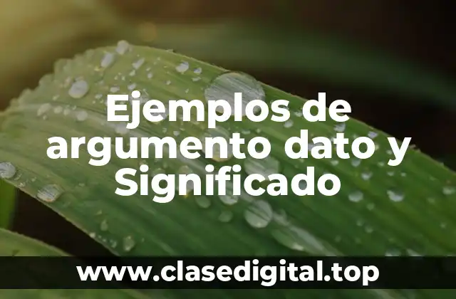 Ejemplos de argumento dato y Significado