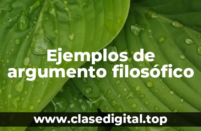 Ejemplos de argumento filosófico