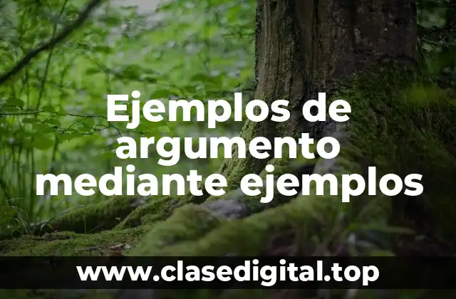 Ejemplos de argumento mediante ejemplos