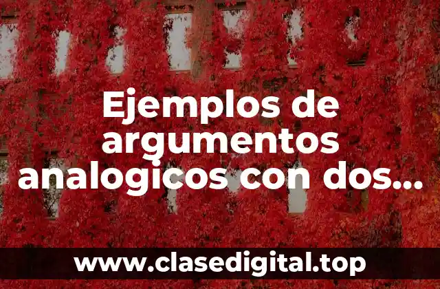 Ejemplos de argumentos analogicos con dos premisas