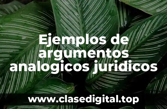 Ejemplos de argumentos analogicos juridicos
