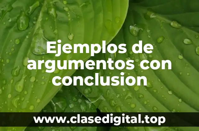 Ejemplos de argumentos con conclusion