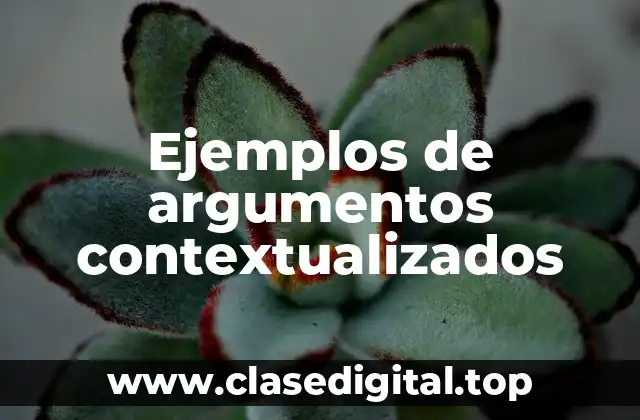 Ejemplos de argumentos contextualizados