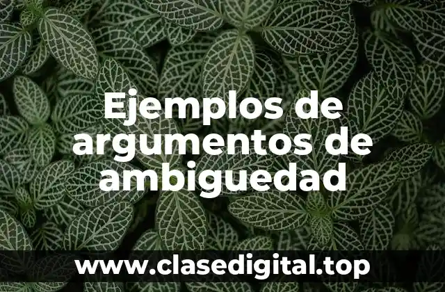 Ejemplos de argumentos de ambiguedad