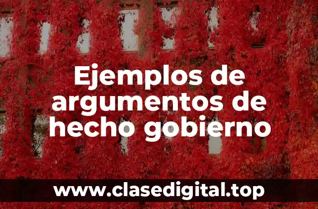 Ejemplos de argumentos de hecho gobierno